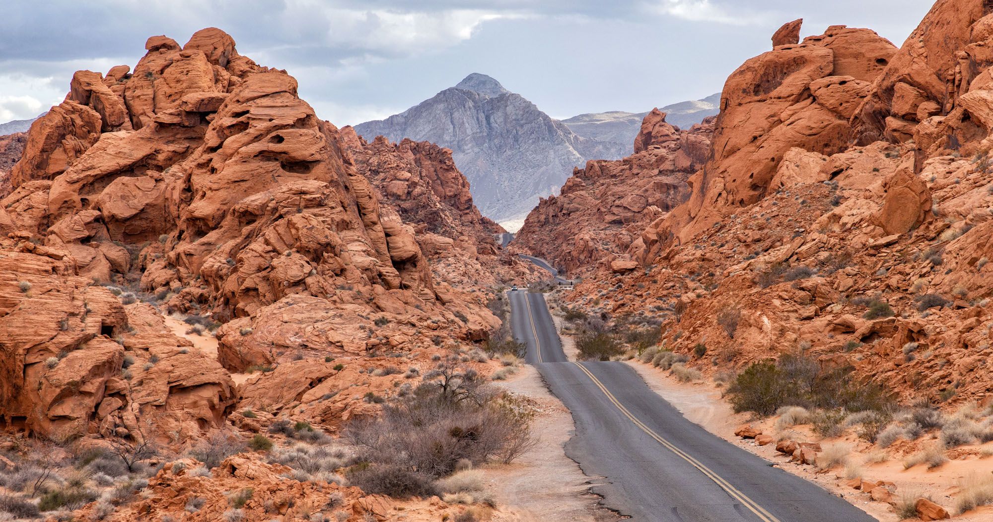 Featured image for “Best USA Road Trips: 18 Ideas for Your Next Big Adventure”