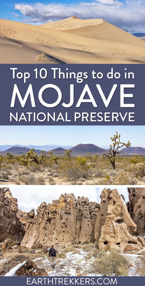 Best of the Mojave National Preserve