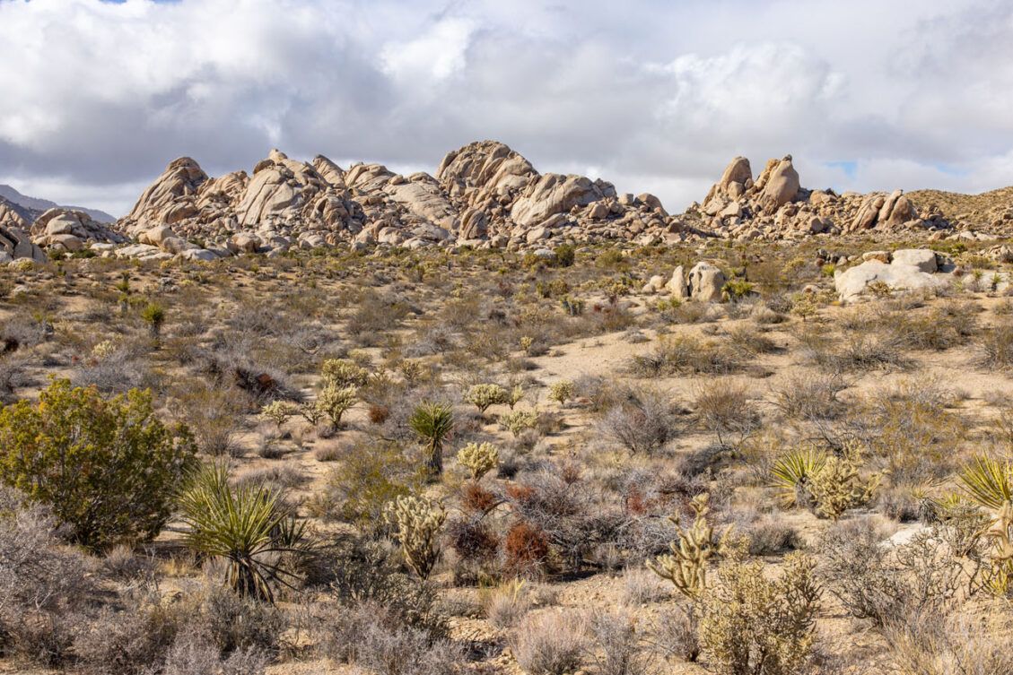 10 EPIC Things To Do In Mojave National Preserve – Earth Trekkers