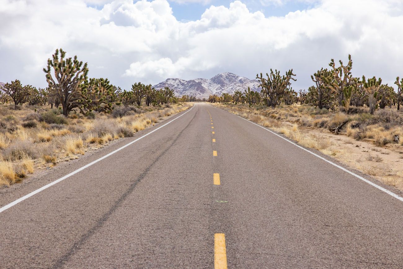 Cima Road | Best Things to Do in Mojave National Preserve