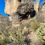 Everything you need to know to hike the Permian Reef Trail in Guadalupe Mountains National Park.