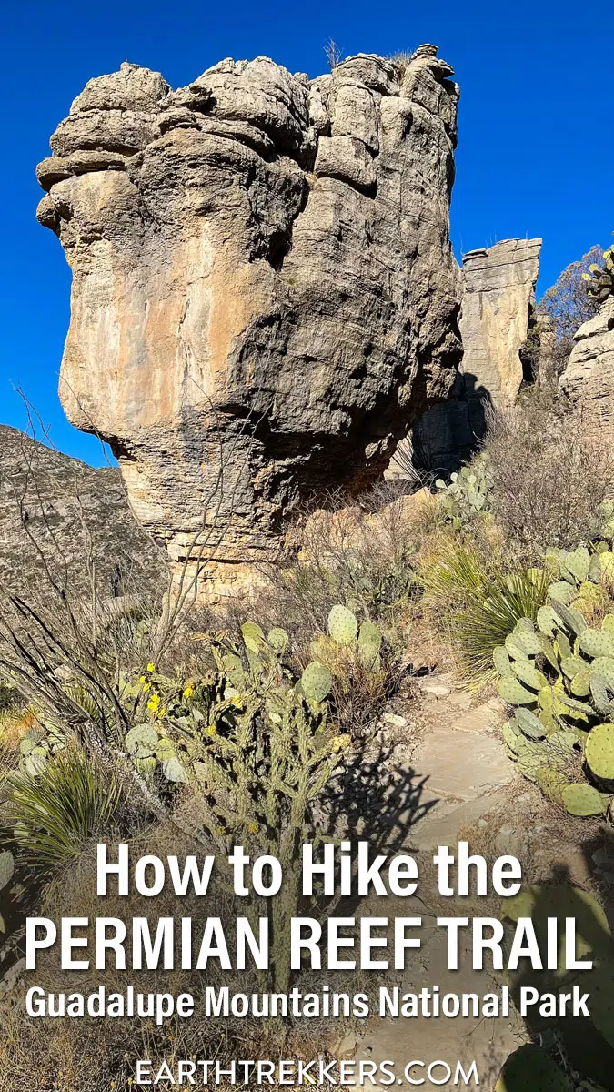 Everything you need to know to hike the Permian Reef Trail in Guadalupe Mountains National Park.