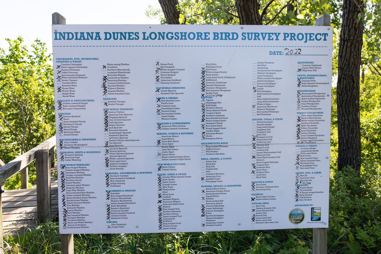 Indiana Dunes Longshore Bird Survey