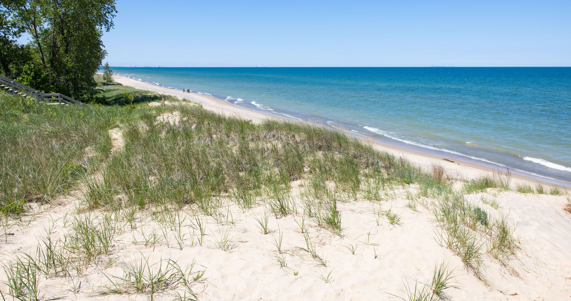 Discover Scenic Beauty: Top 20 Day Trips from Chicago - Activities and Wildlife at Indiana Dunes National Park
