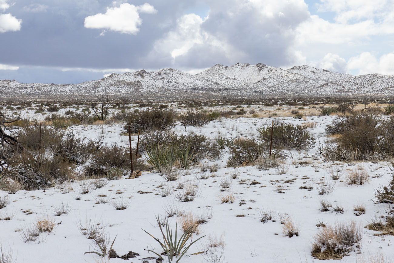 Mojave National Preserve with Snow