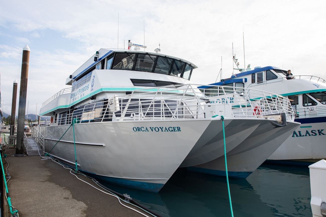 Orca Voyager | Northwestern Fjord Cruise