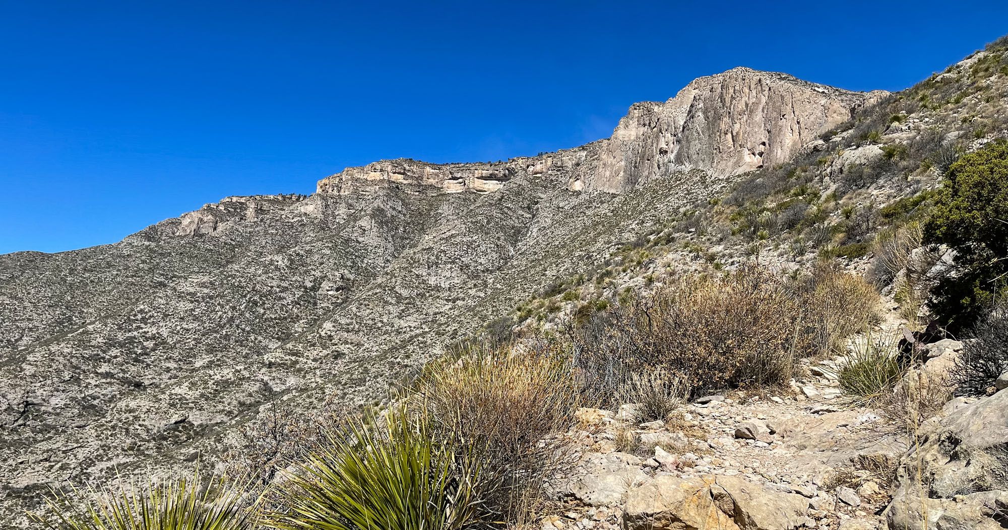 Featured image for “How to Hike the Permian Reef Trail | Guadalupe Mountains National Park”