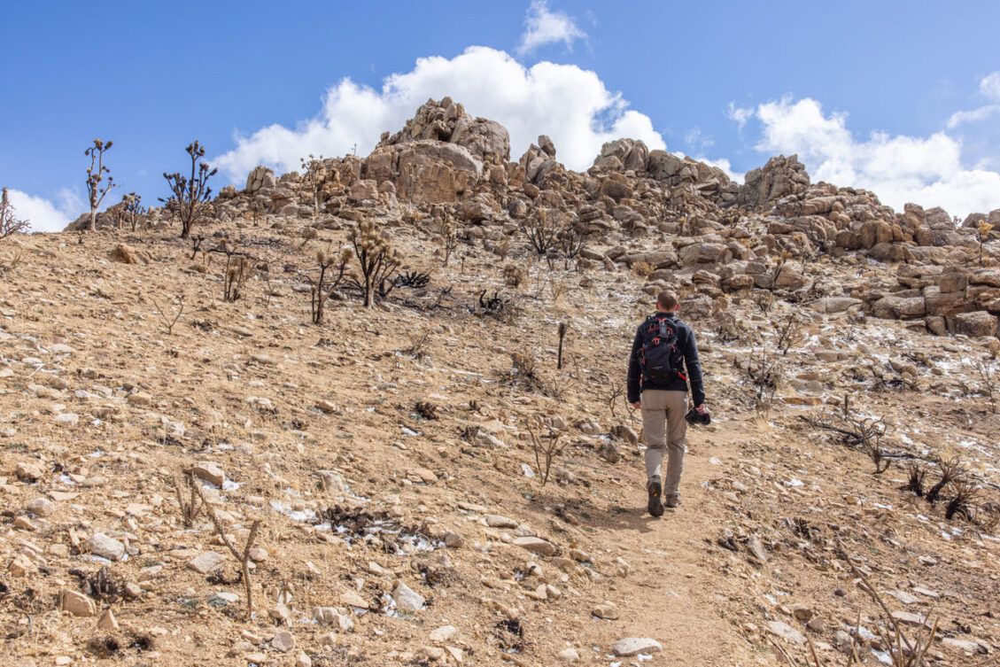 10 EPIC Things To Do In Mojave National Preserve – Earth Trekkers