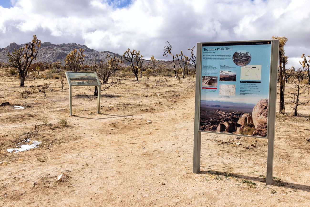 Teutonia Peak Trail Trailhead | Best Things to Do in Mojave National Preserve