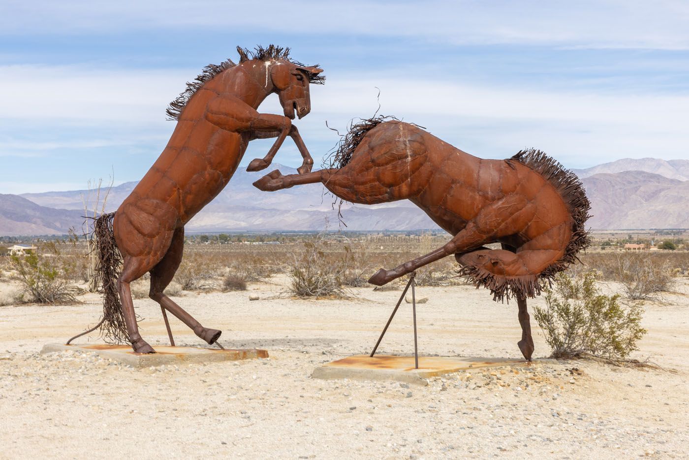 Galleta Meadows Horses