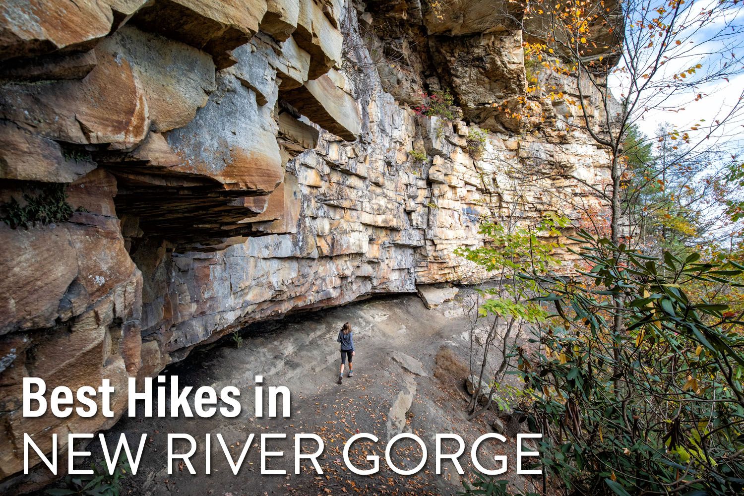 Hikes in New River Gorge
