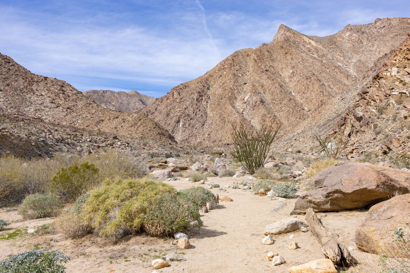 Palm Canyon Trail | Anza-Borrego Desert State Park