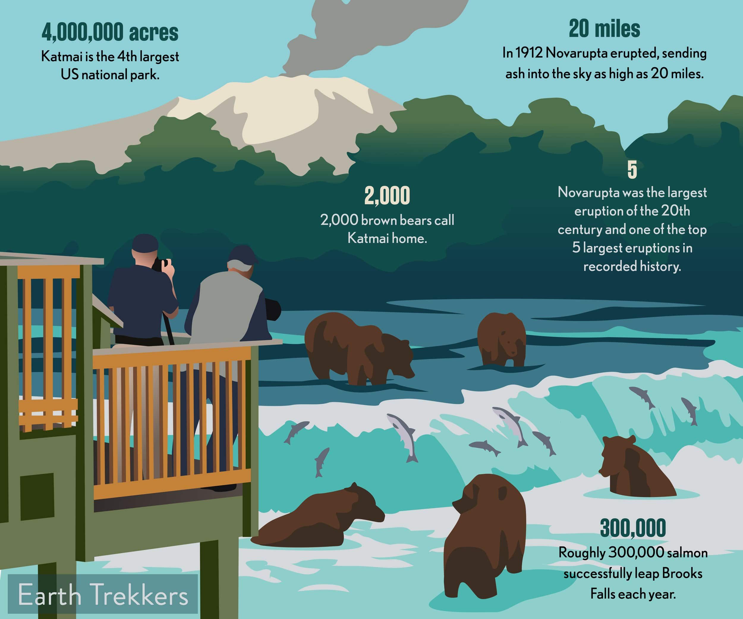 Bear Watching in Katmai National Park and Preserve - Katmai National Park &  Preserve (U.S. National Park Service)