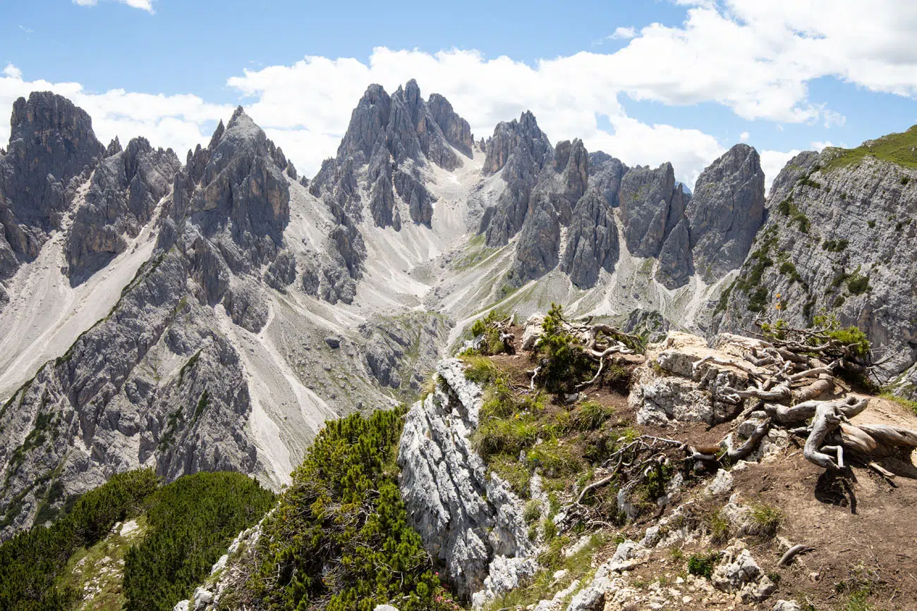 The Cadini di Misurina Viewpoint