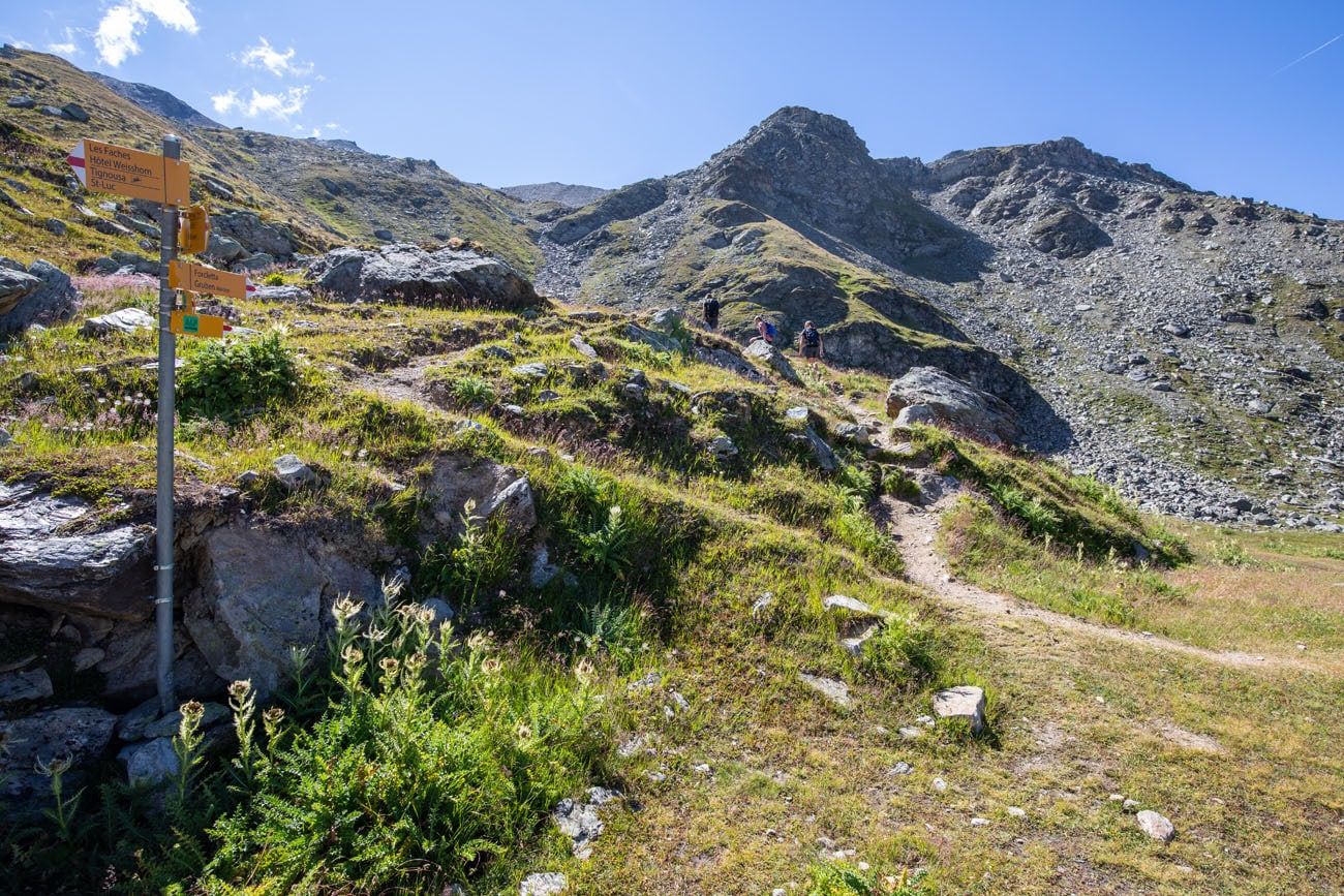 Trail to Forcletta Pass