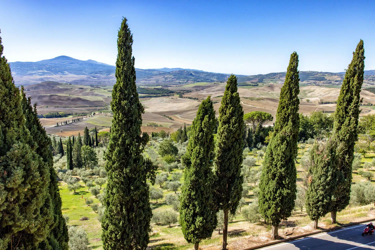 Piccolomini Palace View