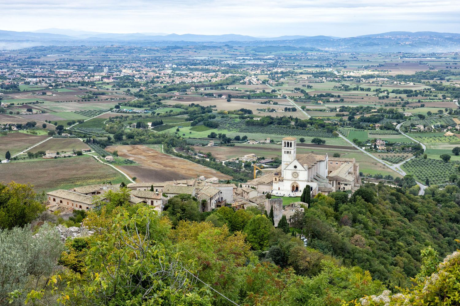 View of Basilica di San Francesco