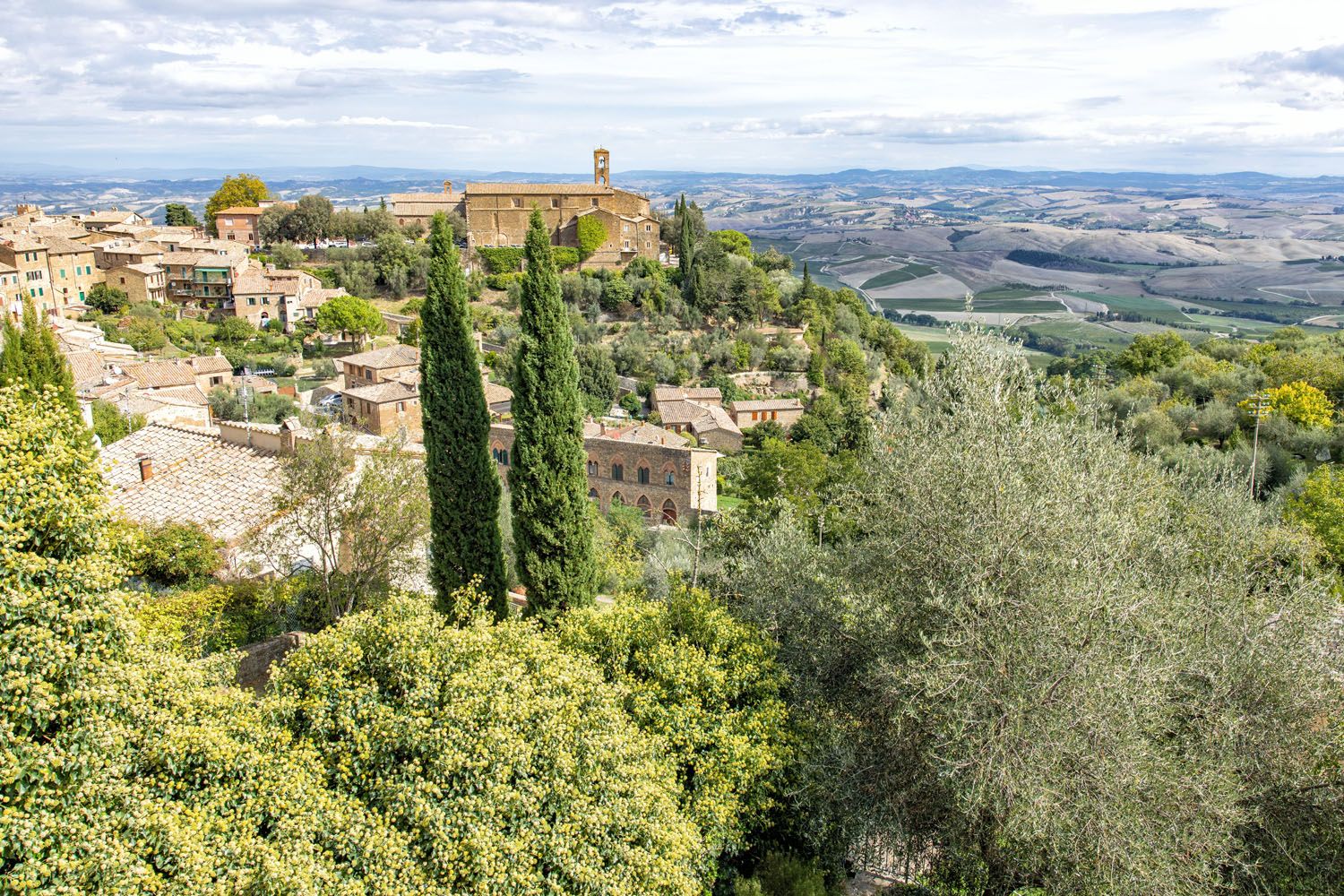 Montalcino Wine Shop View | Best things to do in Montalcino