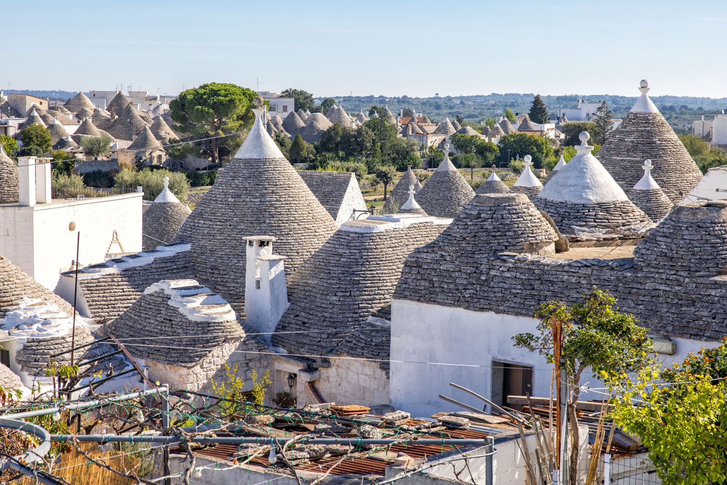 Rooftop View Alberobello | Best Things to Do in Alberobello