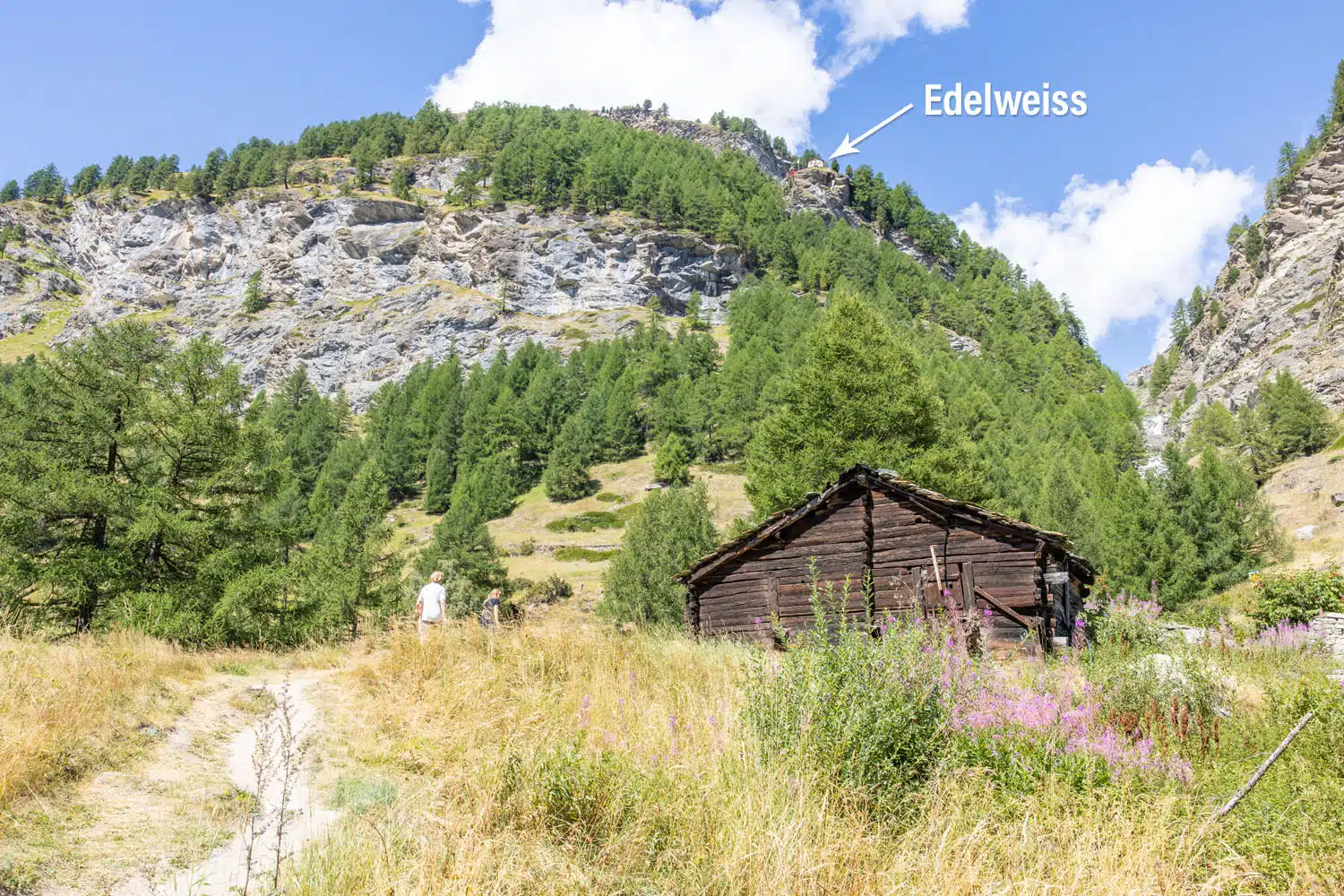 Edelweiss Zermatt | Best Hikes in Zermatt