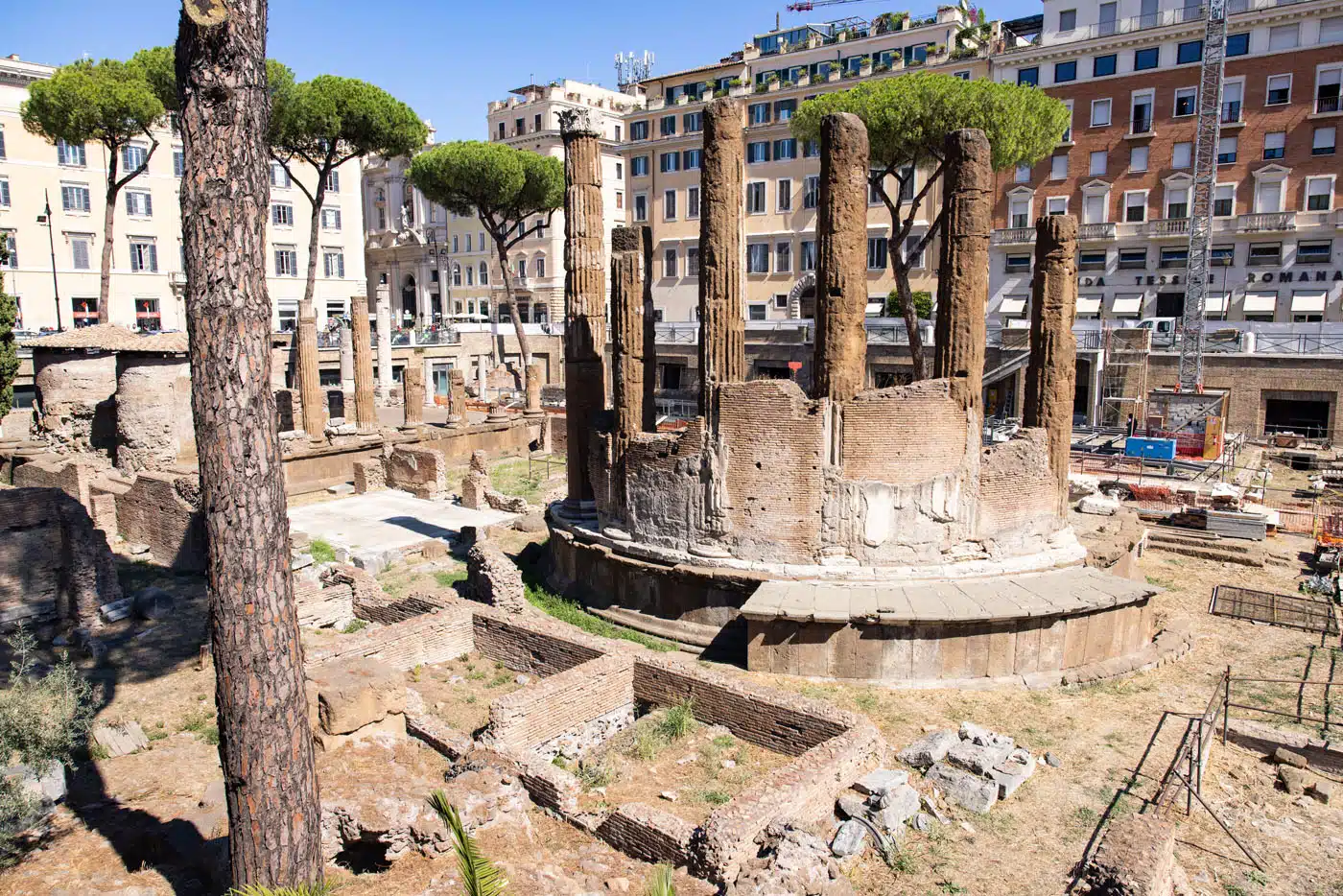 Largo di Torre Argentina | Best things to do in Rome