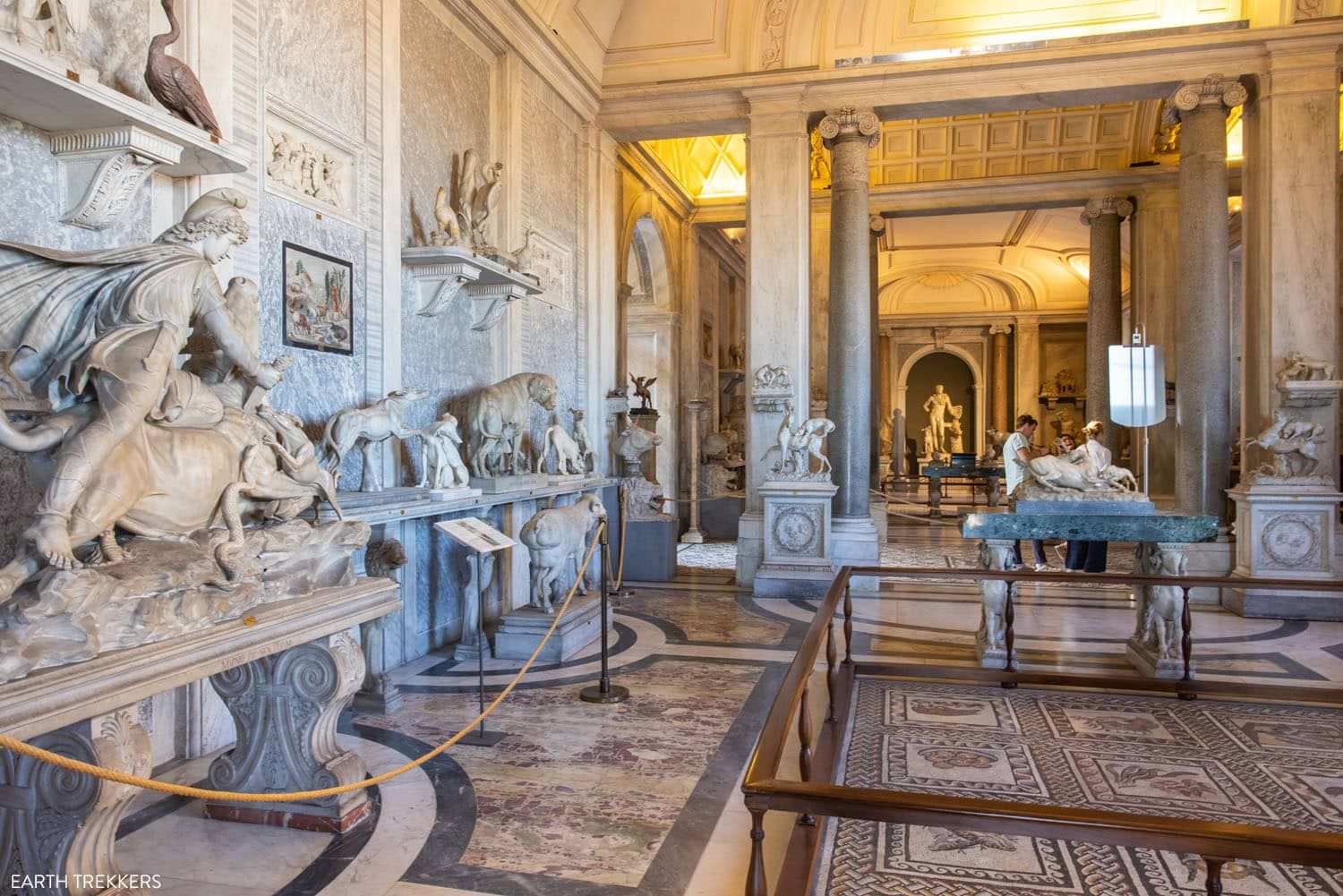 Room of the Animals Vatican | How to visit the Vatican Museums and St. Peter's Basilica