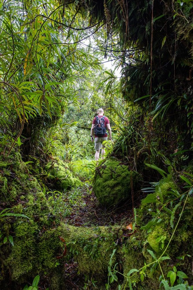 American Samoa Hiking Trail