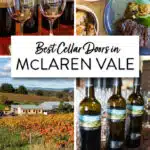 Best cellar doors and wineries in McLaren Vale. 18 exceptional wineries to visit in McLaren Vale and enjoy a leisurely lunch.