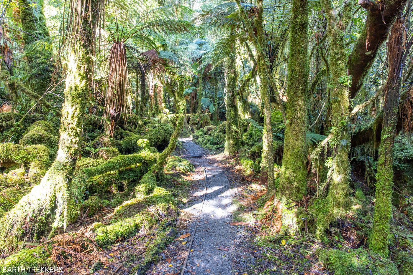 Moraine Walk New Zealand | Things to do in Franz Josef