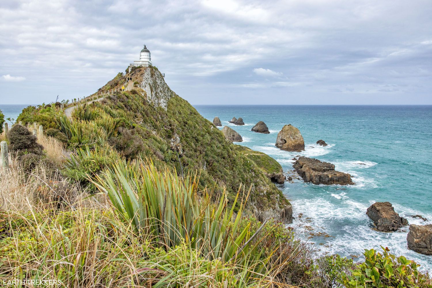 Nugget Point Lighthouse | Best Things to Do on the South Island