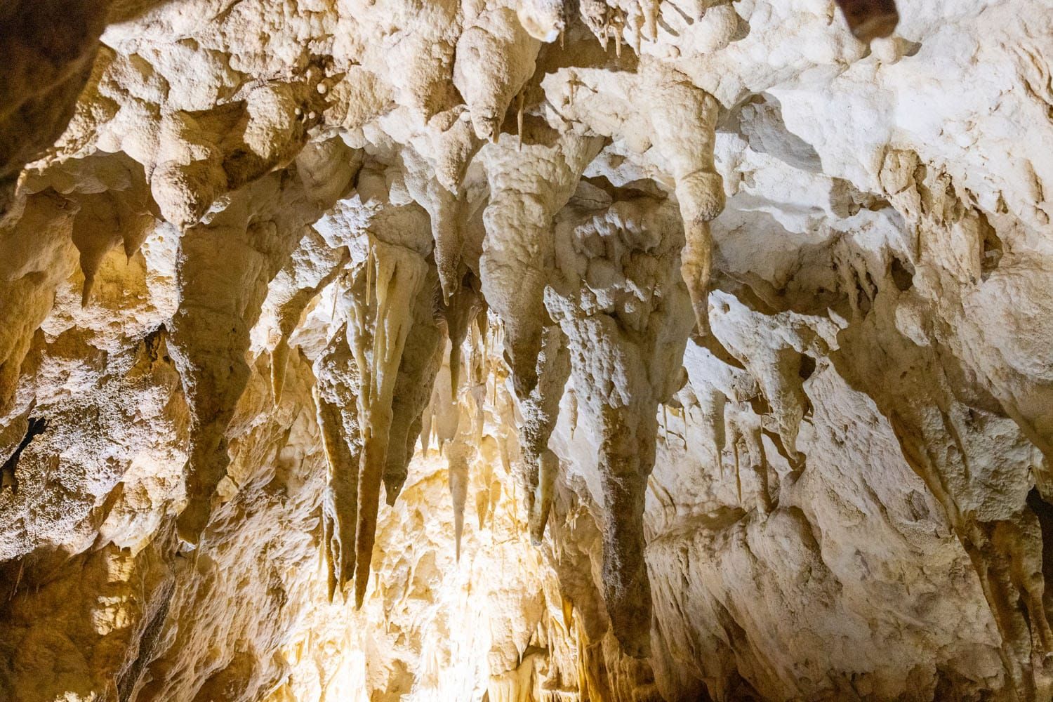 Ruakuri Cave Stalactites