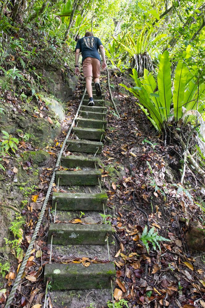 Tuafanua Trail Steps | Things to Do in the National Park of American Samoa