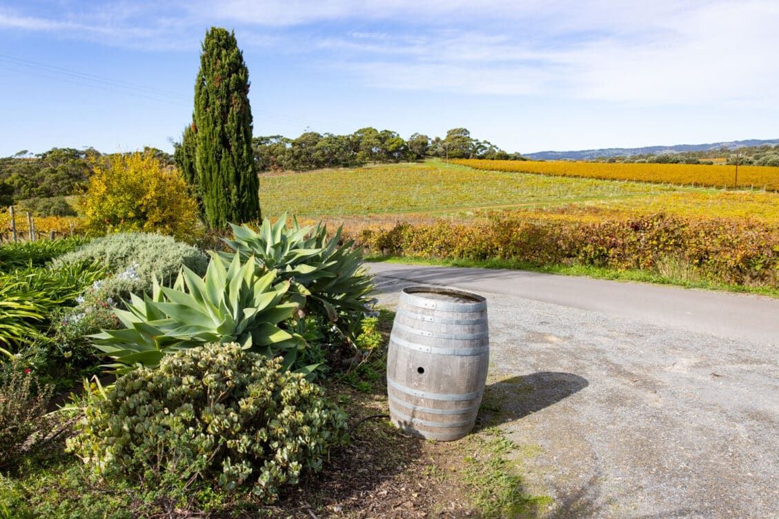 McLaren Vale Uncorked A Guide To 18 Exceptional Wineries In The Region   Wineries In McLaren Vale 1129x753 .optimal 