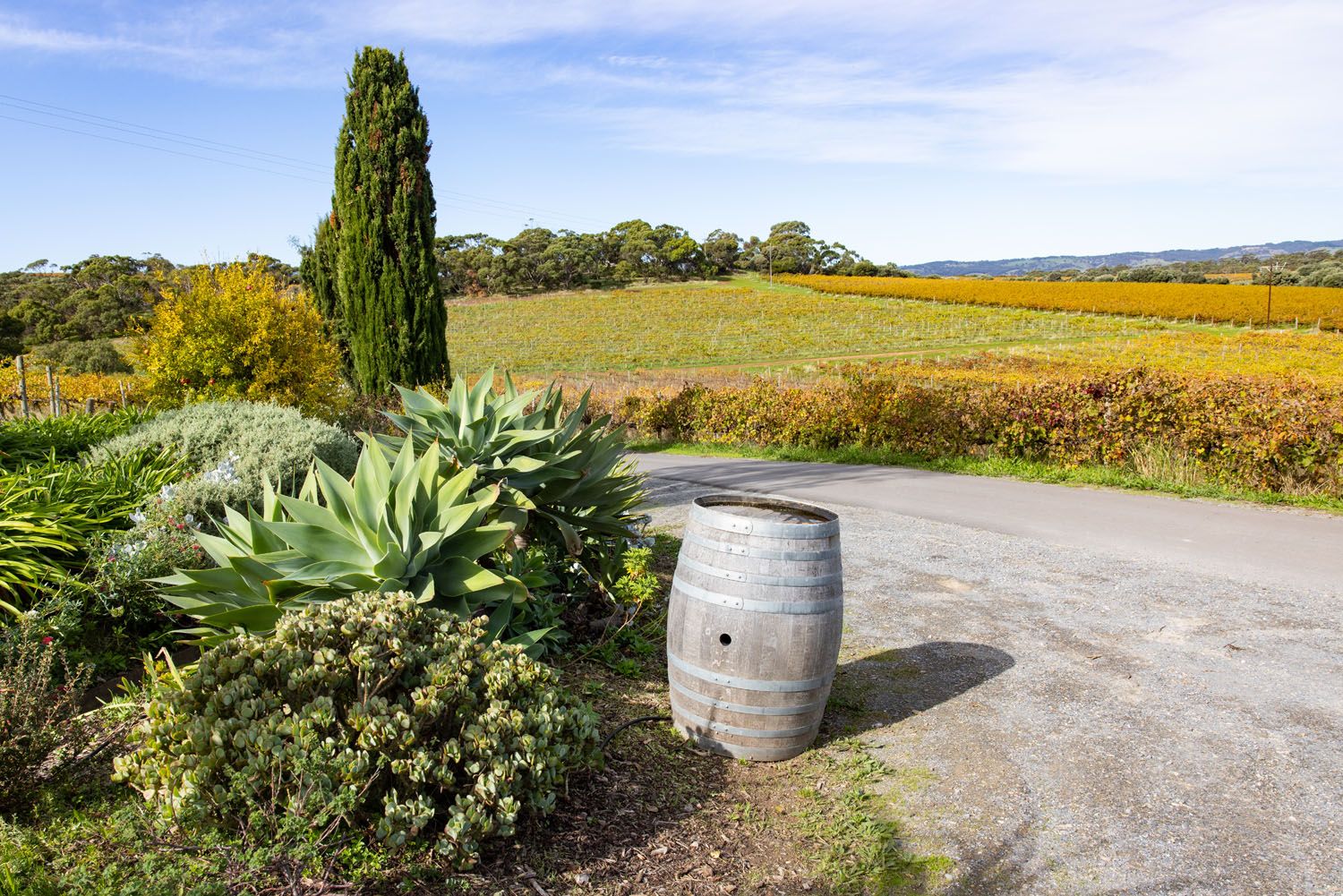 Wineries in McLaren Vale