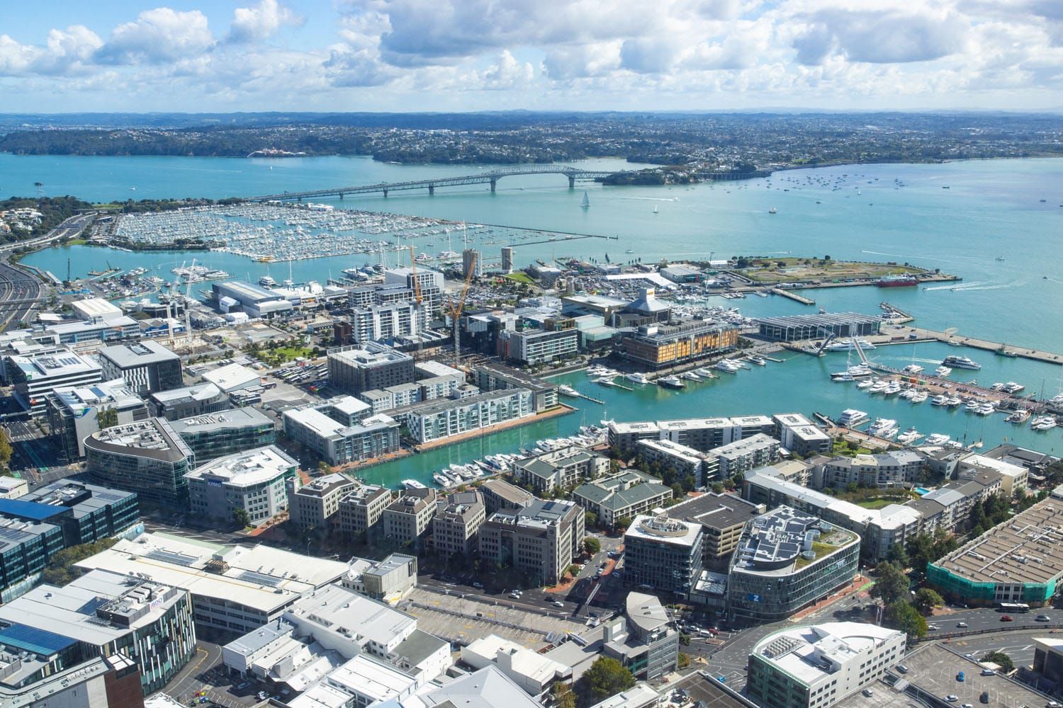 Auckland Sky Tower View | Best Things to do in Auckland