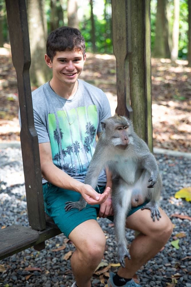 Cam with Monkey