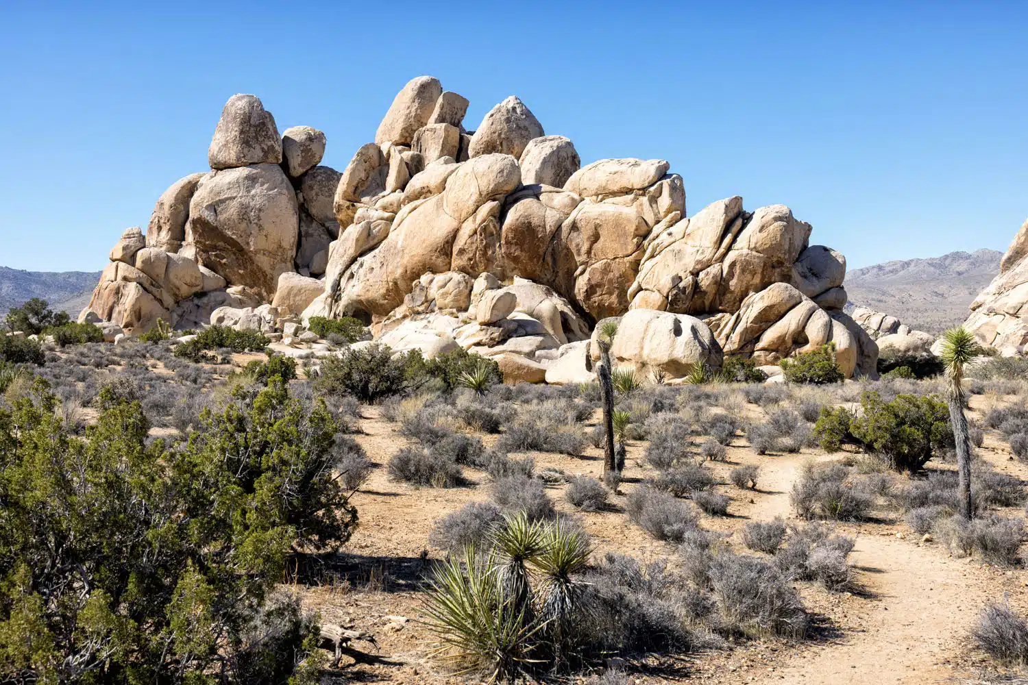 Hall of Horrors Area