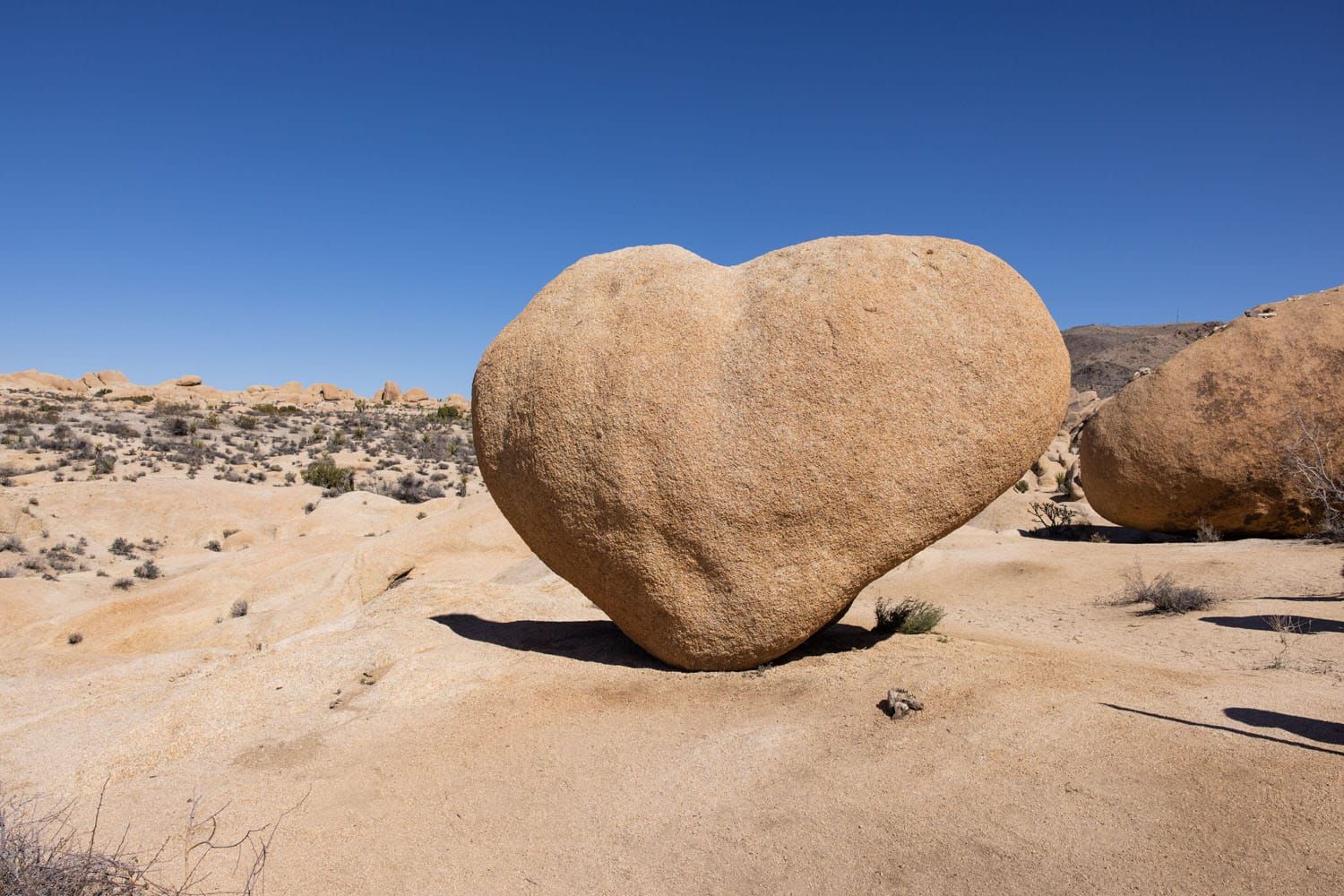 Heart Rock Joshua Tree