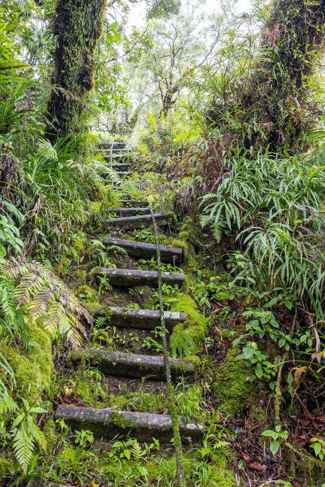 Mount Alava Adventure Trail Steps