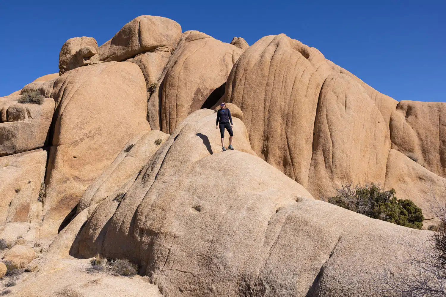 On the Skull Rock Trail