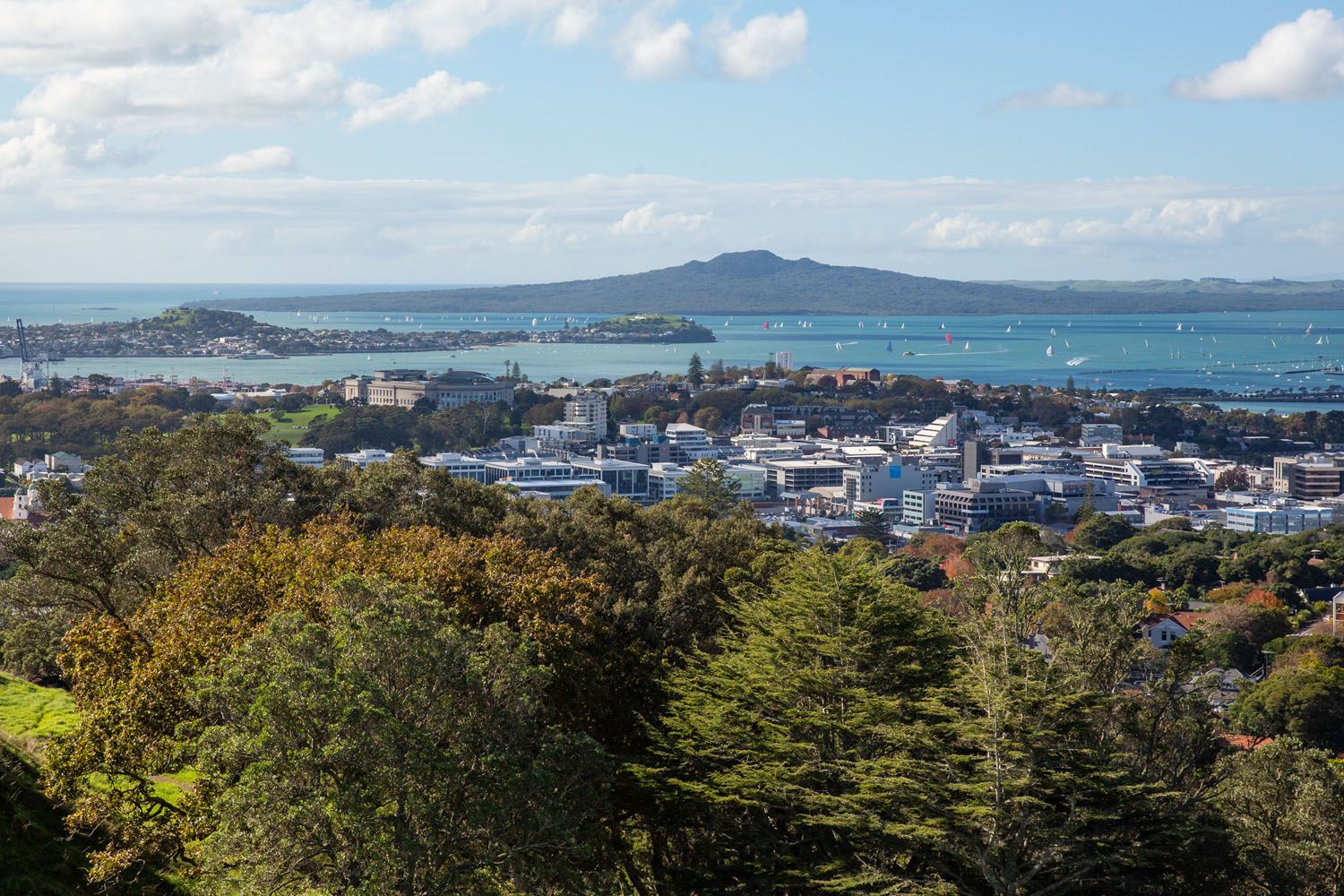 Rangitoto Island | Auckland Itinerary