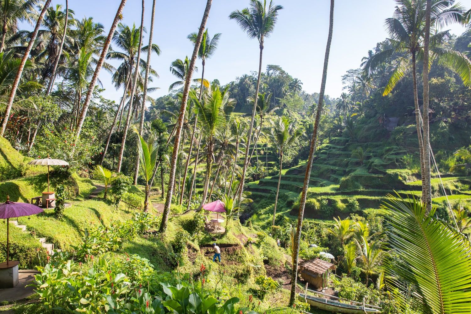 Tegalalang | Best Things to Do in Bali