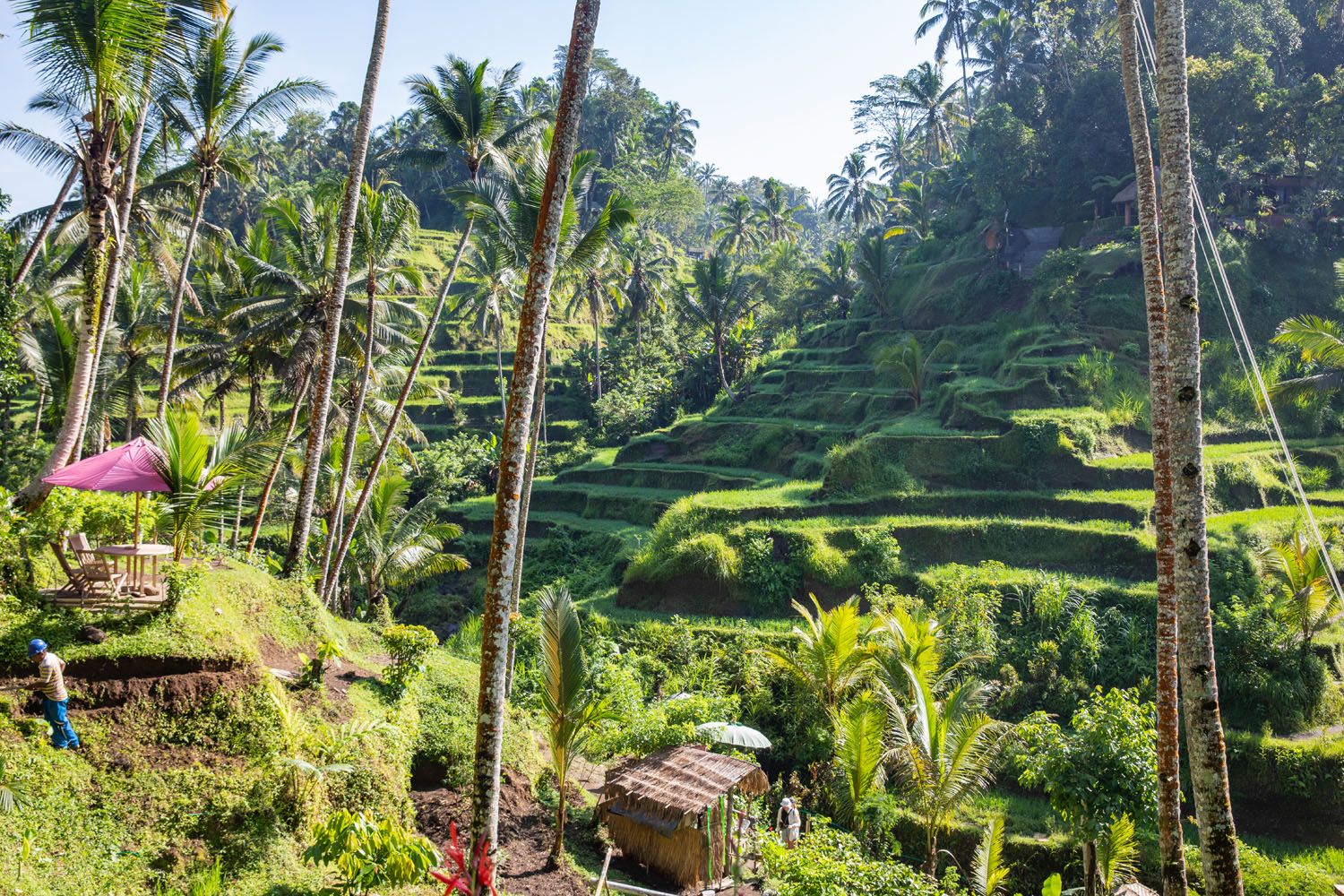 Tegallalang Rice Terraces | 10 Day Bali Itinerary