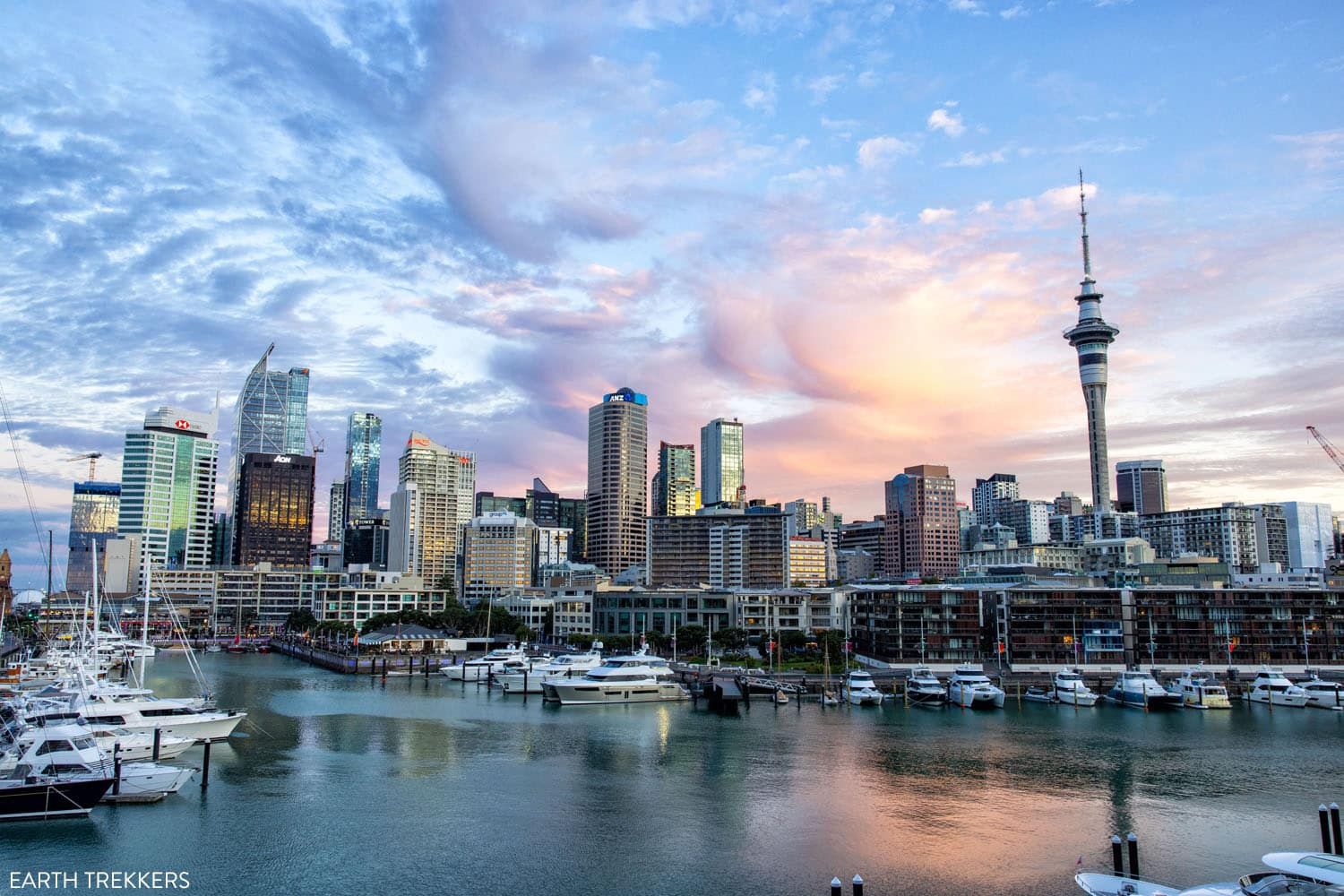 Viaduct Harbour Auckland | Best Things to do in Auckland