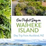 Waiheke Island Day Trip from Auckland