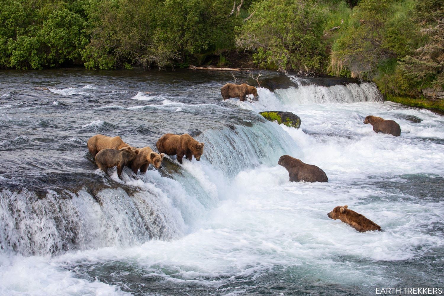 Katmai National Park & Preserve, Alaska