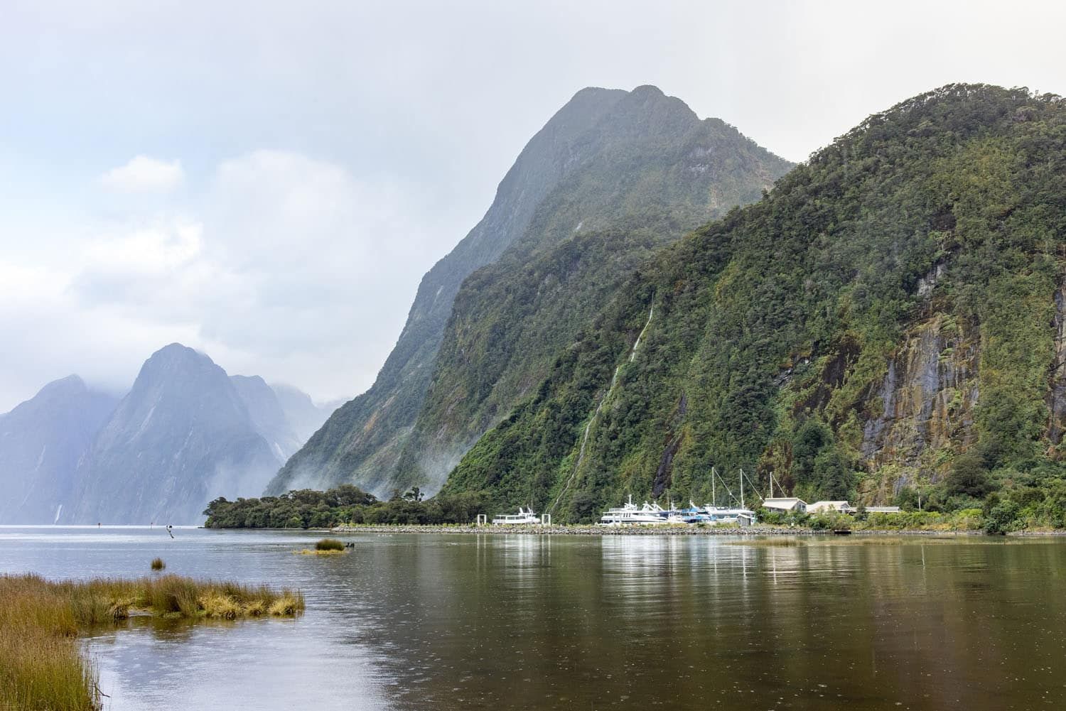 How to Visit Milford Sound