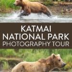 Katmai National Park Photography Tour