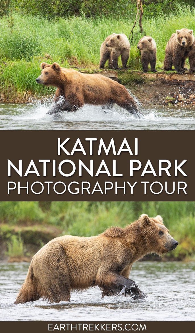 Katmai National Park Photography Tour