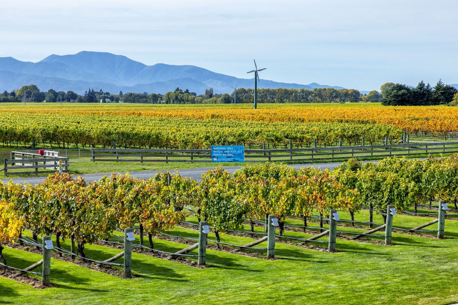 Marlborough cellar door, New Zealand Wine